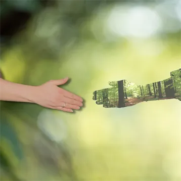 En hand som sträcks ut mot en hand som ser ut som en skog